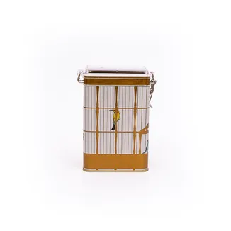Bird Cage Desenli Kilitli Kapaklı Dikdörtgen Metal Kutu, 7.5 x 10 x 15 cm, 1 lt