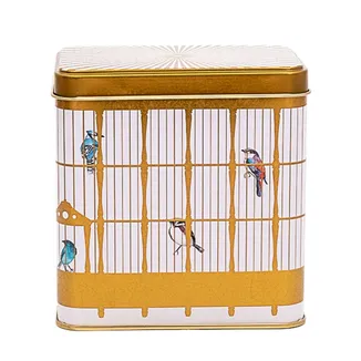 Bird Cage Desenli Dikdörtgen Metal Kutu, 8 x 12 x 12, 1 lt