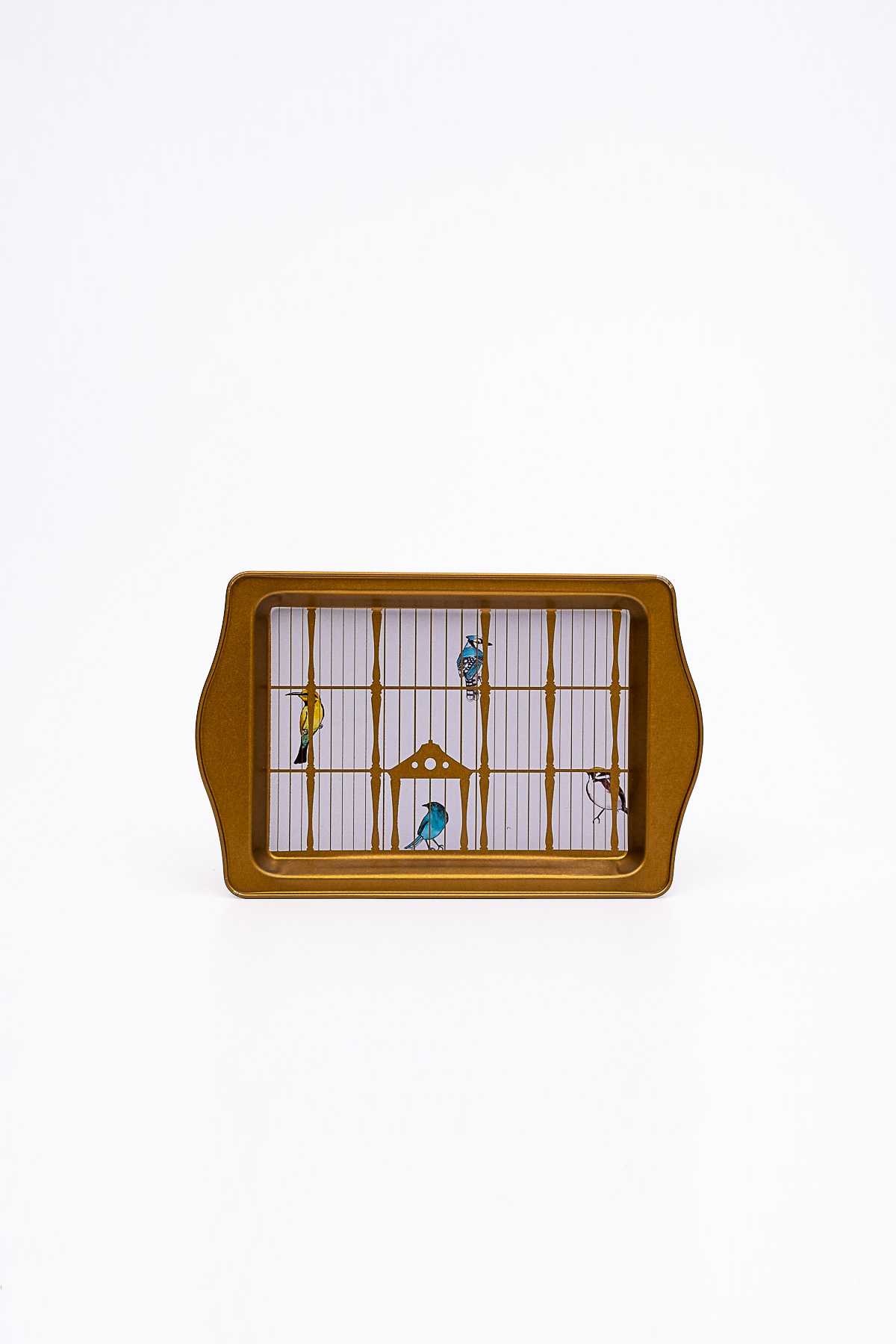Bird Cage Desenli Kulplu Metal Tepsi 16 x 25 cm