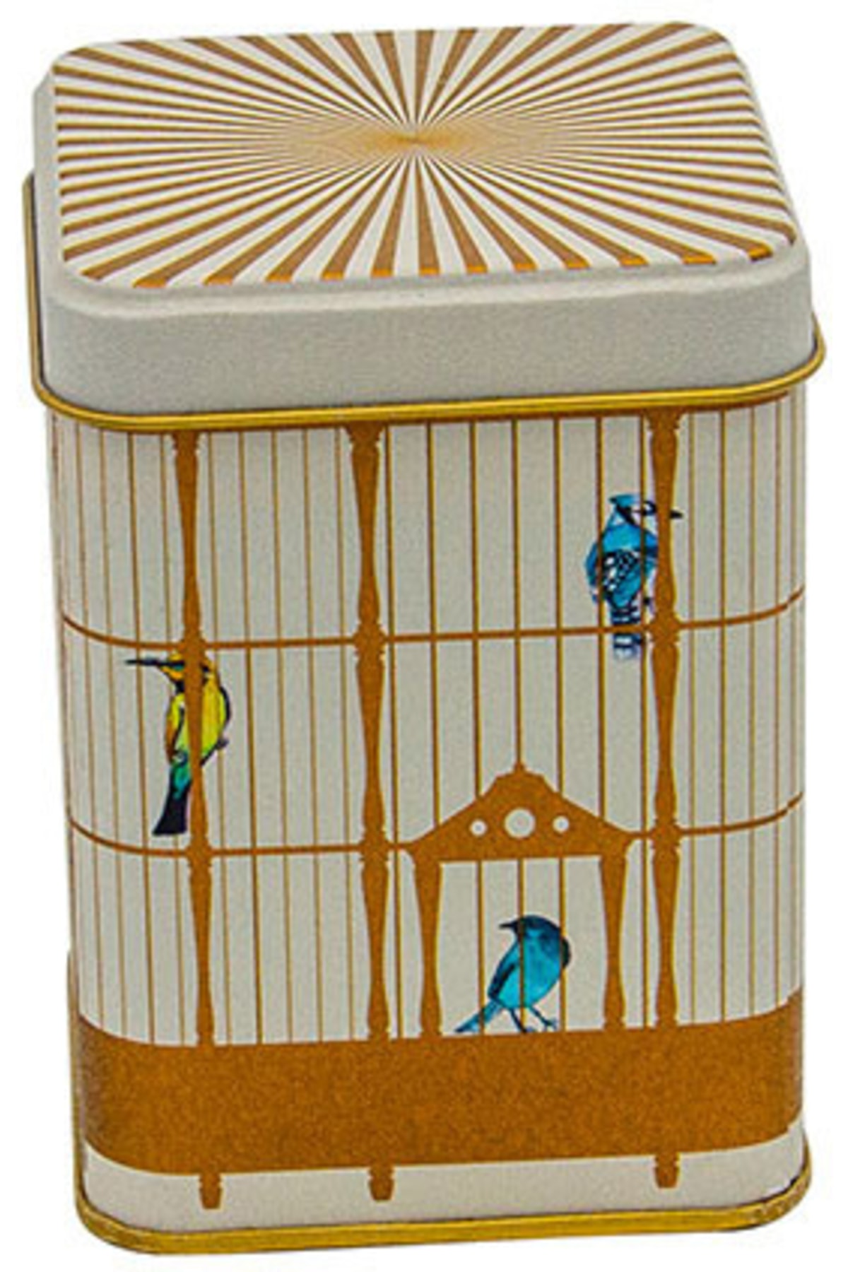Bird Cage Desenli Kare Metal Kutu, 7.5 x 7.5 x 10 cm, 0.5 lt