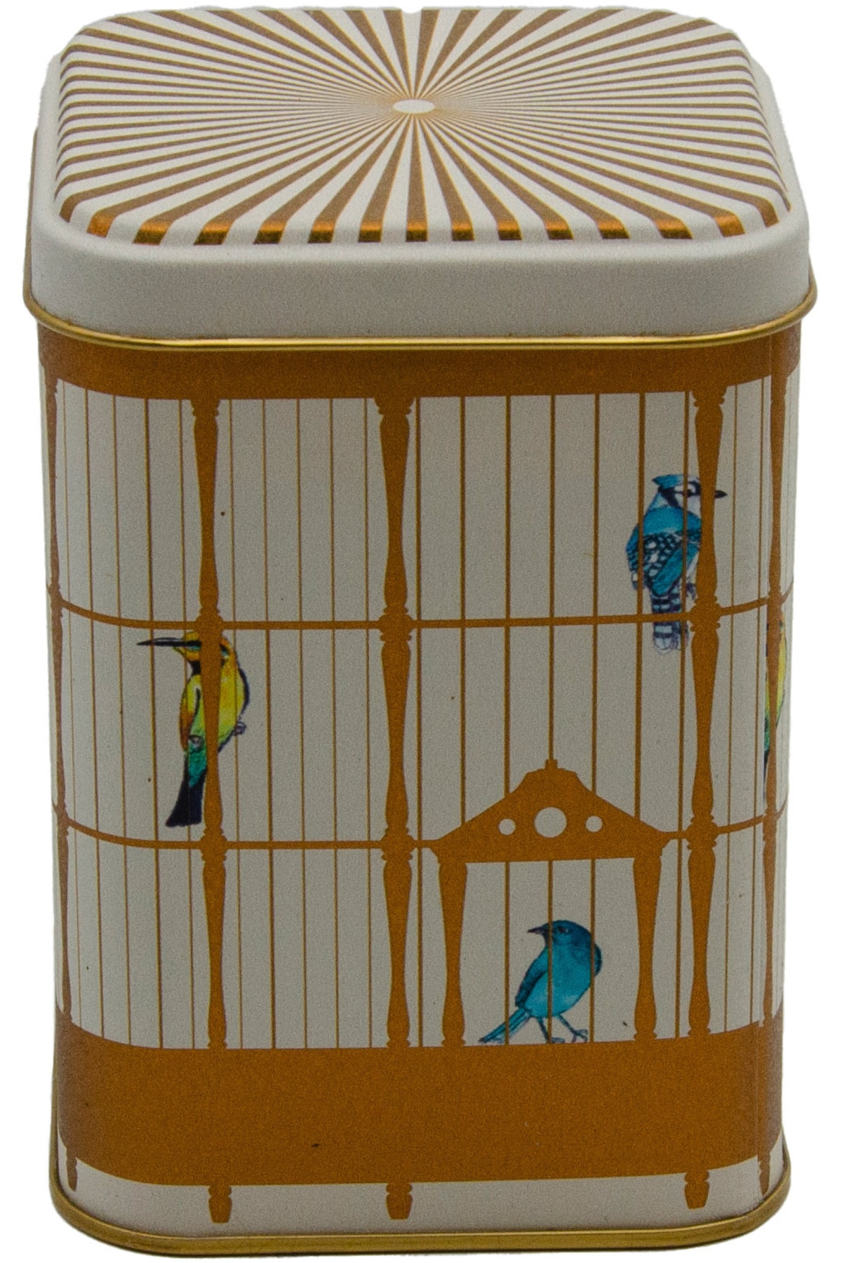 Bird Cage Desenli Kare Metal Kutu, 9 x 9 x 12.5 cm, 1 lt