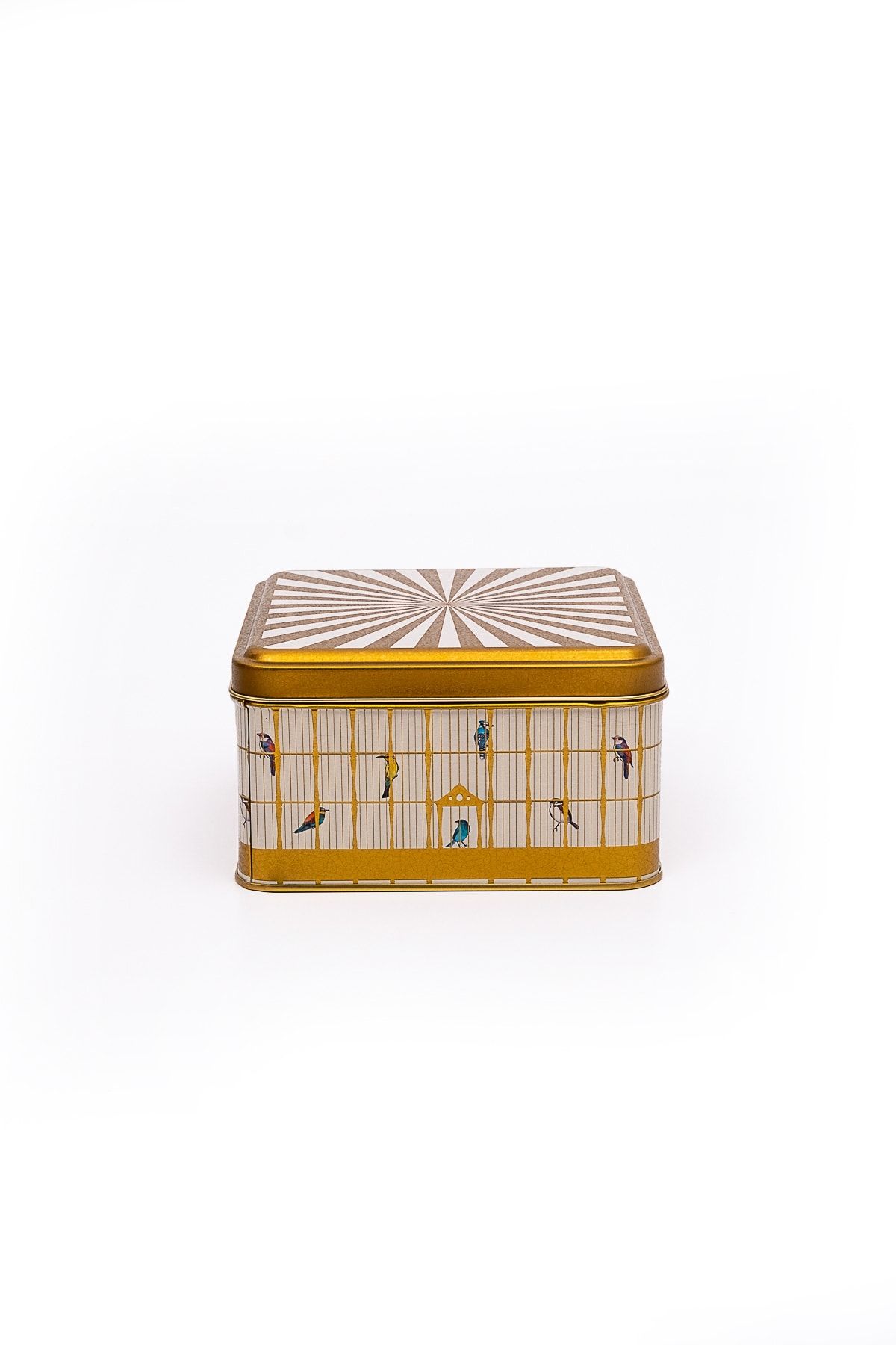 Bird Cage Desenli Kare Metal Kutu, 15.8 x 15.8 x 8 cm, 1.9 lt