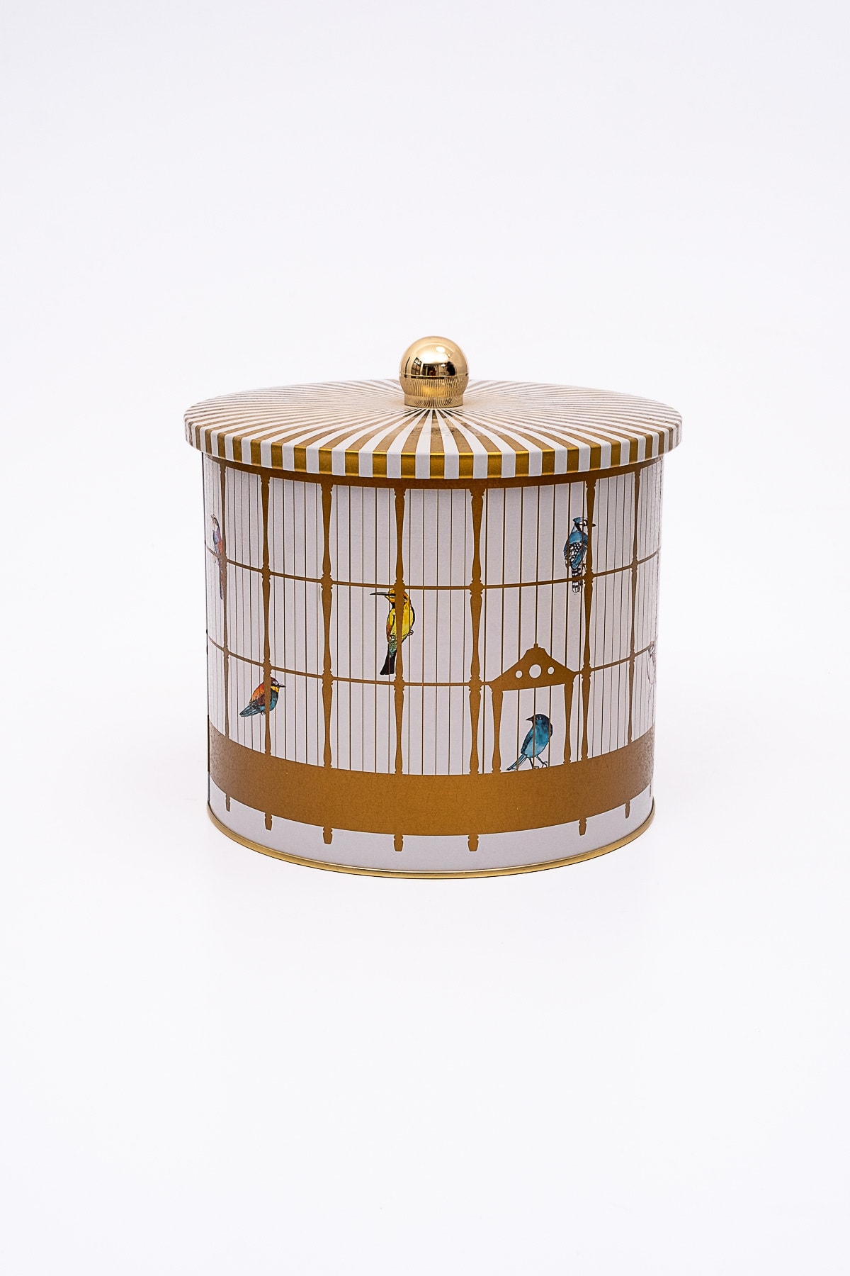Bird Cage Desenli Topuz Kulplu Yuvarlak Metal Kutu, 17.5 x 15.5 cm, 3.5 lt