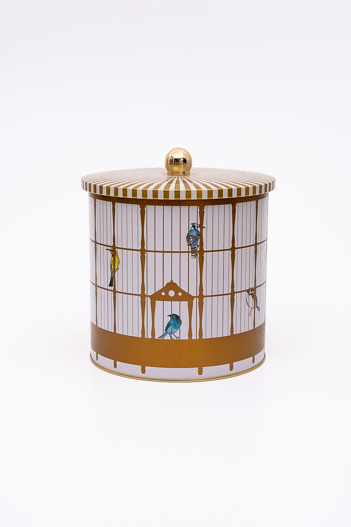 Bird Cage Desenli Topuz Kulplu Yuvarlak Metal Kutu, 17.5 x 18 cm, 4.1 lt